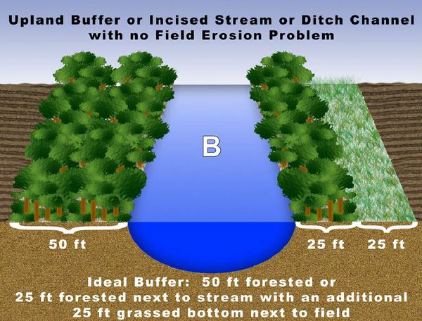 Figure B. Upland buffer or incised stream or ditch channel with